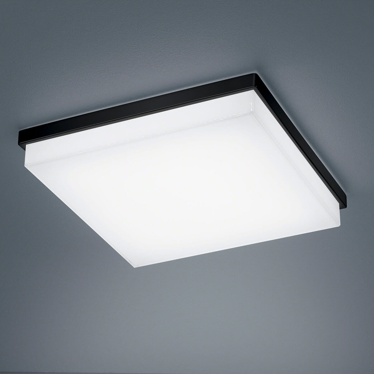 Helestra Cosi LED Deckenleuchte31,5 x 31,5 cm, schwarz matt / Glas satiniert