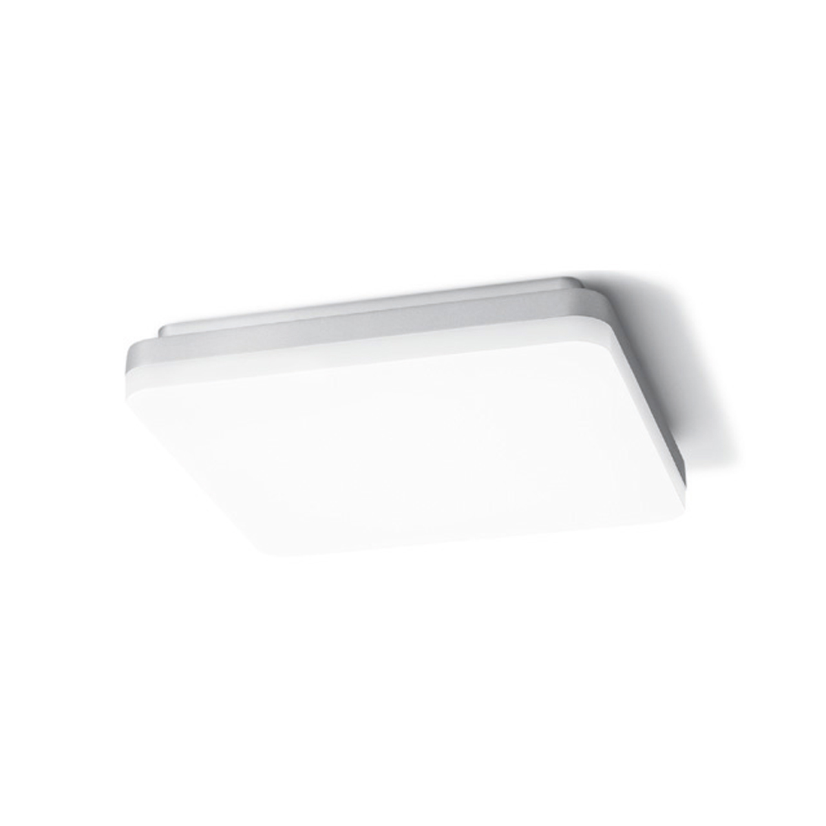 Sigor Square LED Deckenleuchte3000 K, 26 x 26 cm, Silber