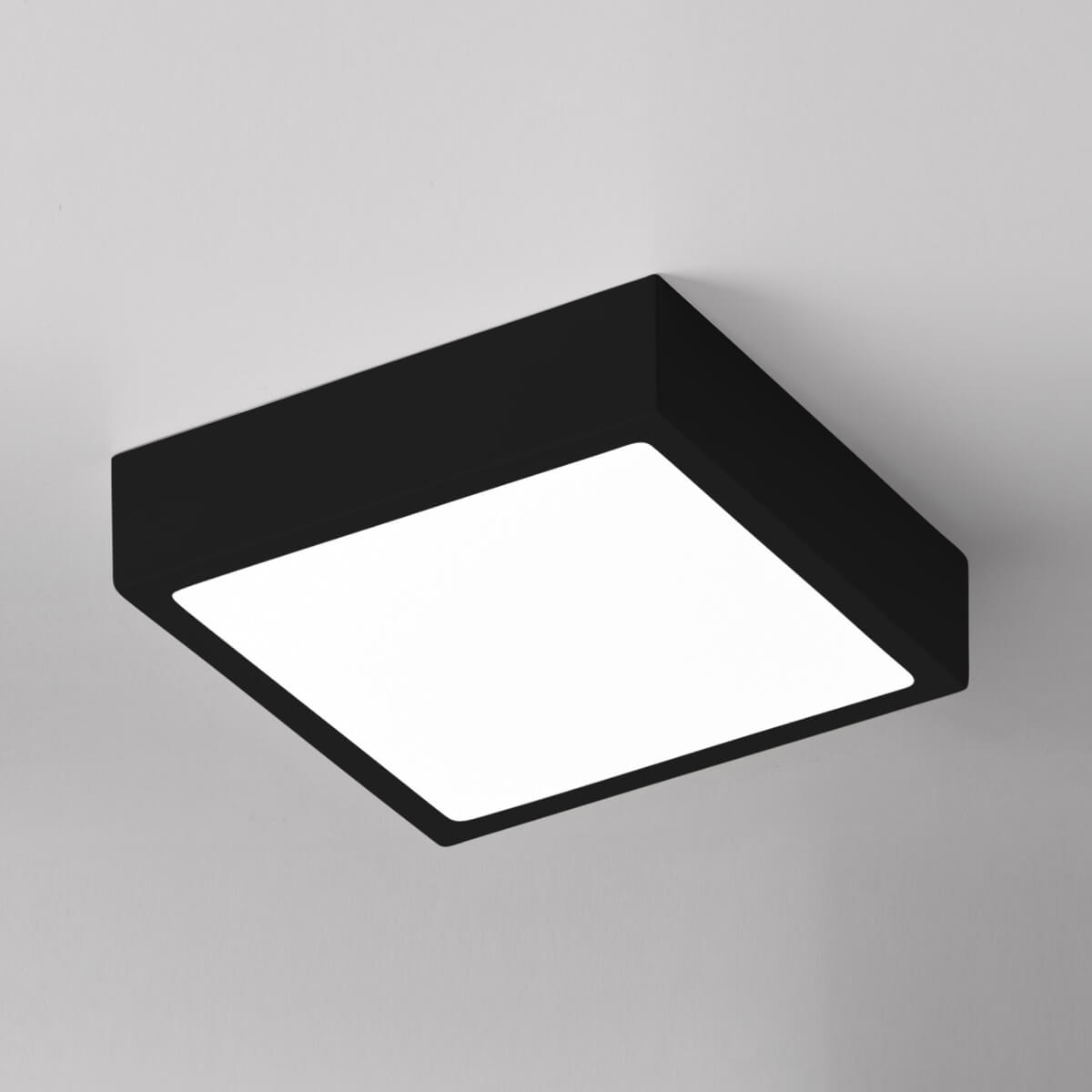 Lupia Licht Venox SD LED Deckenleuchteschwarz