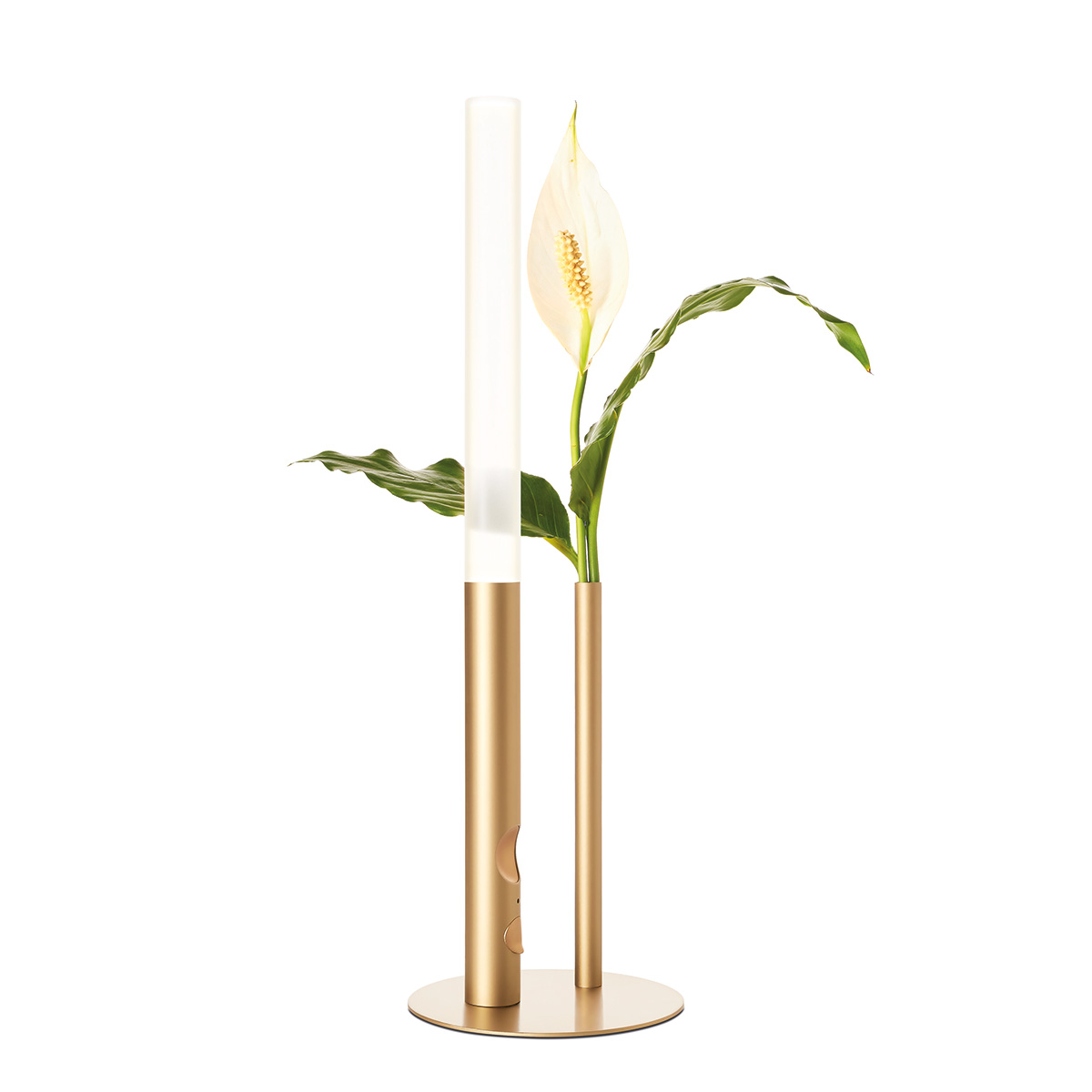 Ognidove tavolo LED Akkuleuchte & Vase