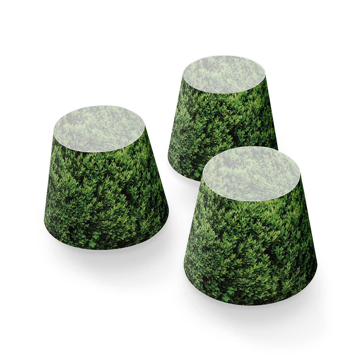 Mini Cappie Buxus, 3er-Set, für Edison the Mini