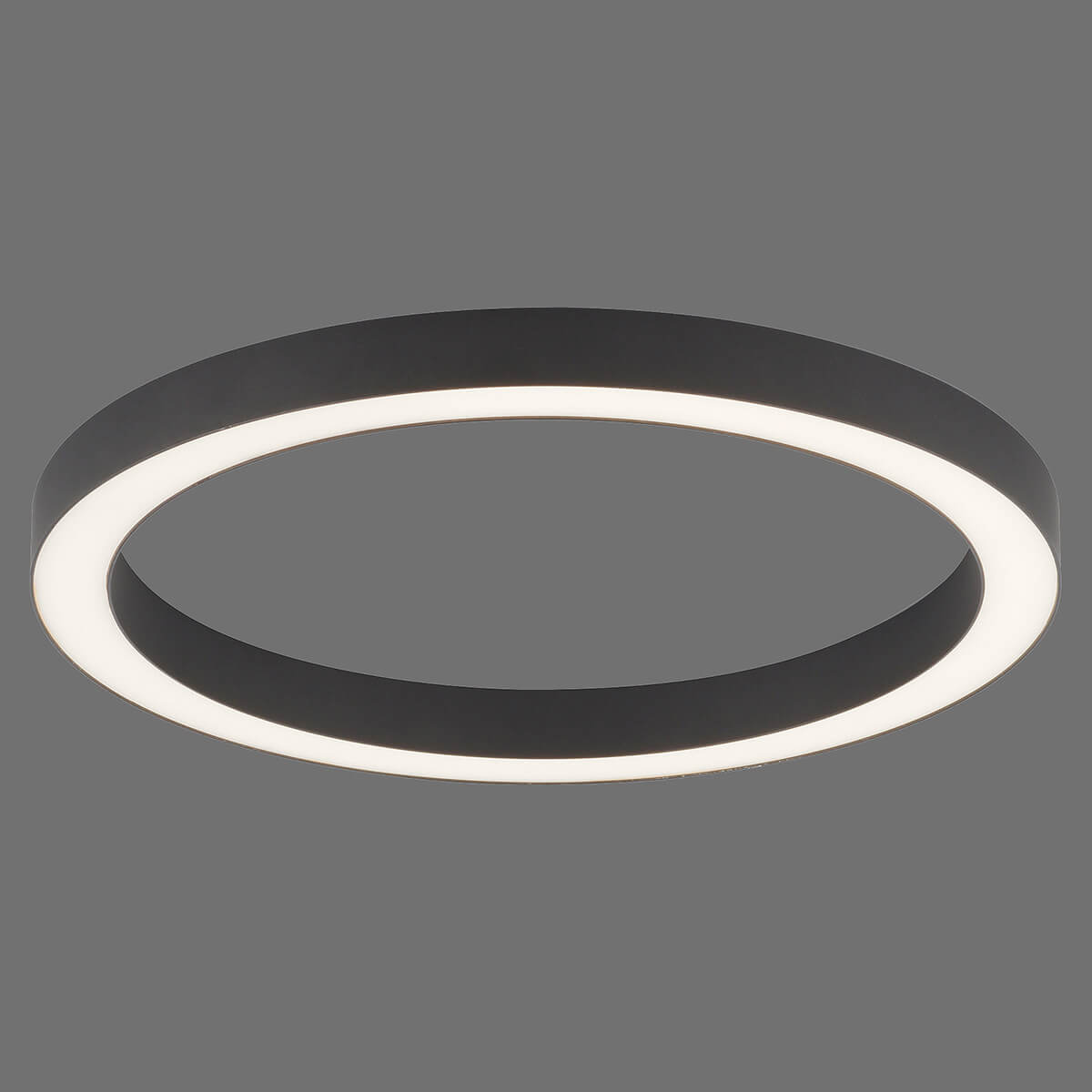 Neuhaus PURE by Paul Neuhaus Lines Round LED DeckenleuchteØ: 50 cm, anthrazit