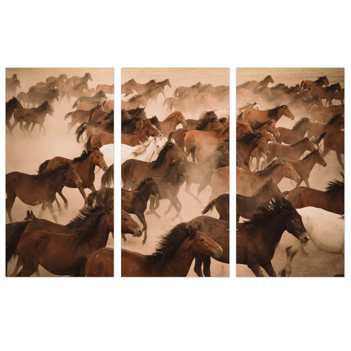 Glasbild Digitaldruck Wildpferde II, 3er-Set, 120 x 180 cm