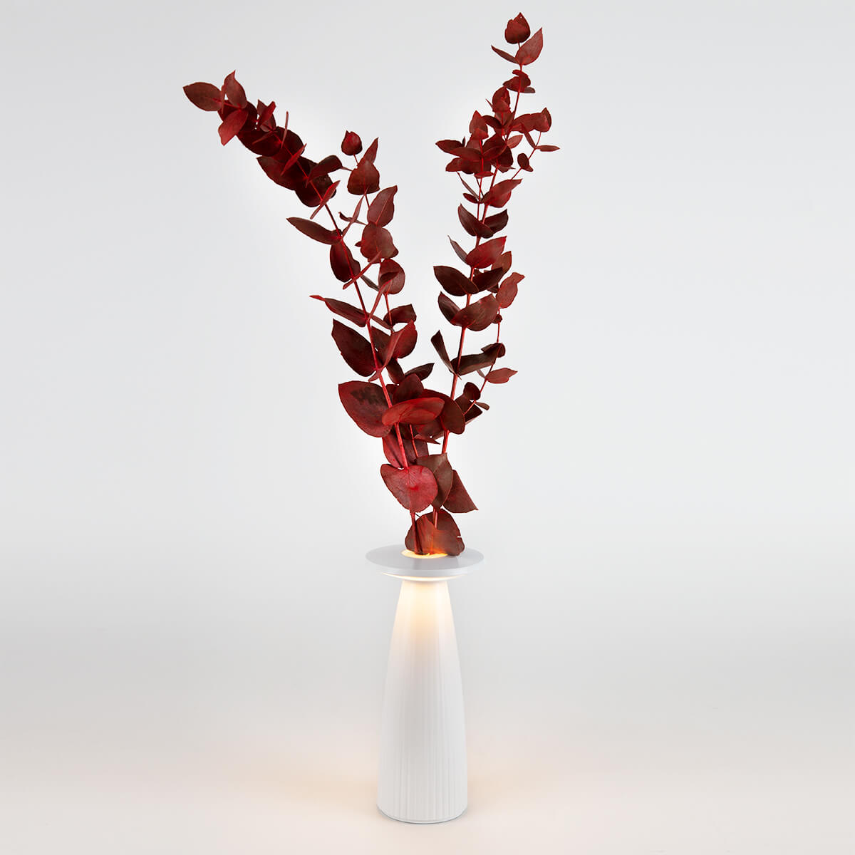 Nuflair LED Akkuleuchte & Vase