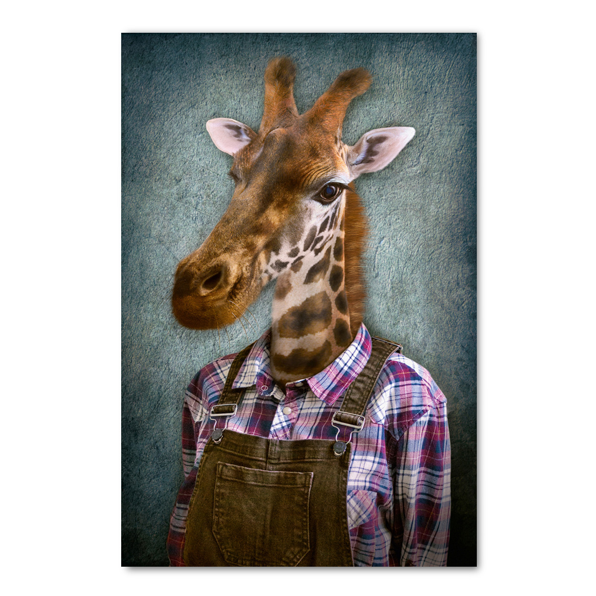 Glasbild Digitaldruck Giraffe mit Latzhose, 120 x 80 cm