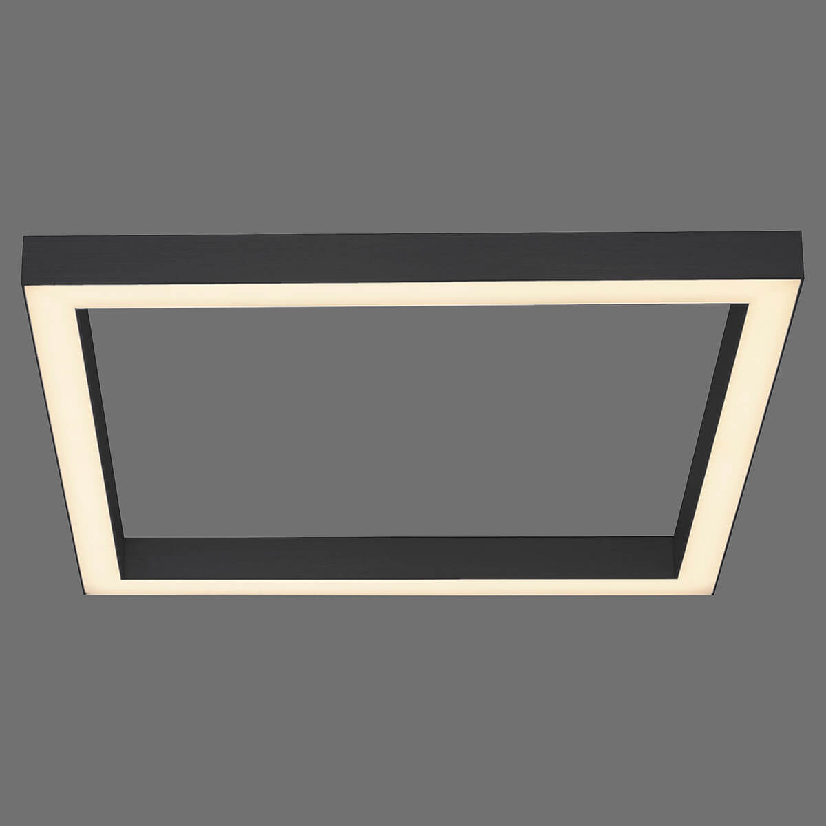 Neuhaus PURE by Paul Neuhaus Lines Square LED Deckenleuchte55 x 55 cm, anthrazit