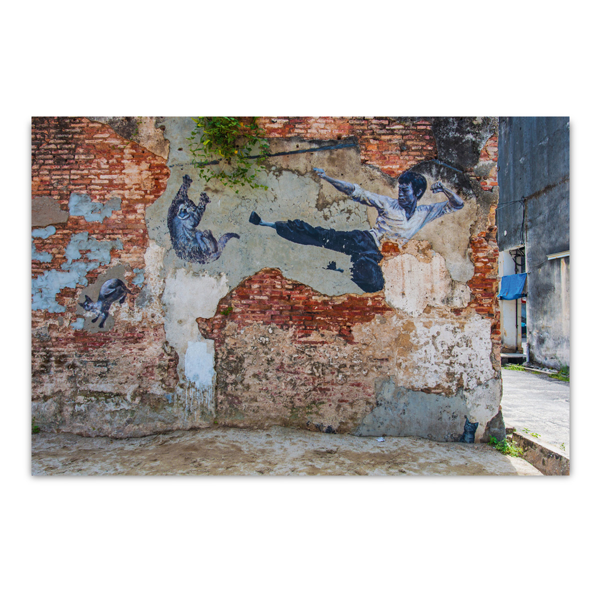 Glasbild Digitaldruck Street Art mit Kampfkünstler, 80 x 120 cm