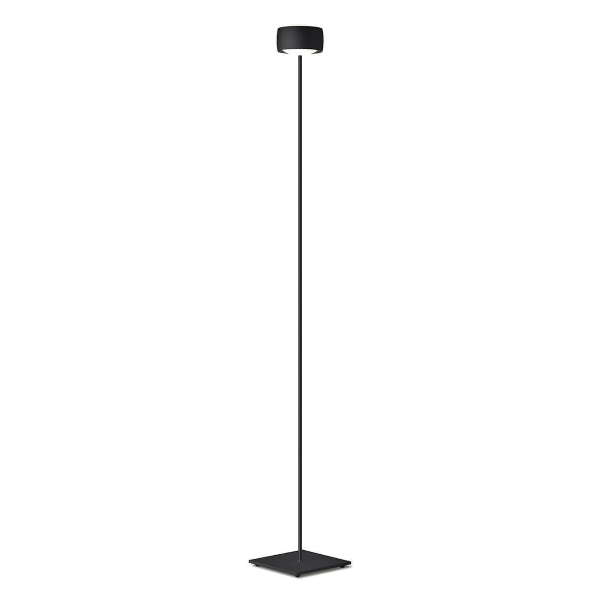 Grace LED Stehleuchte, Tunable White